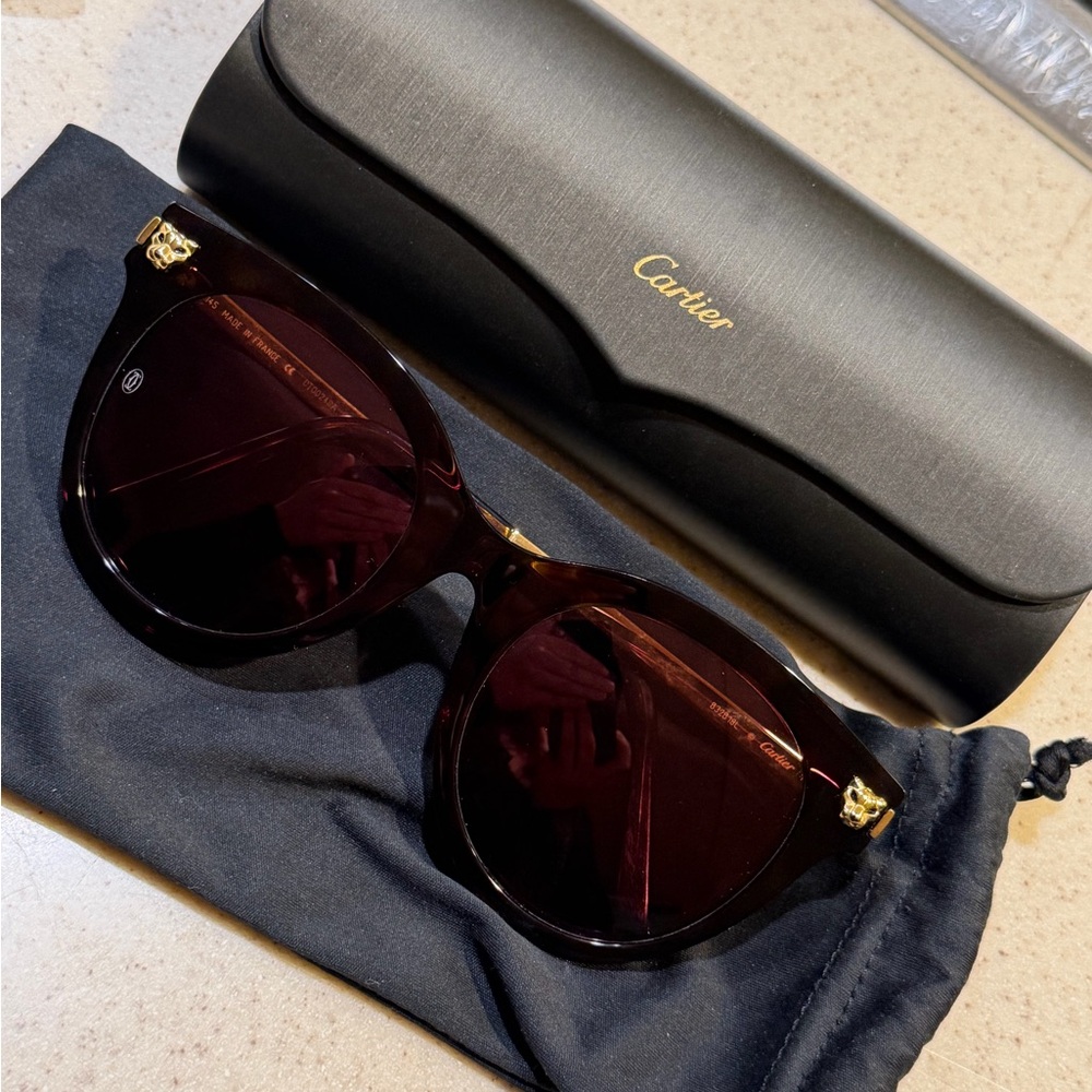 Cartier Gold-Tone Sunglasses Temple Arm Detail